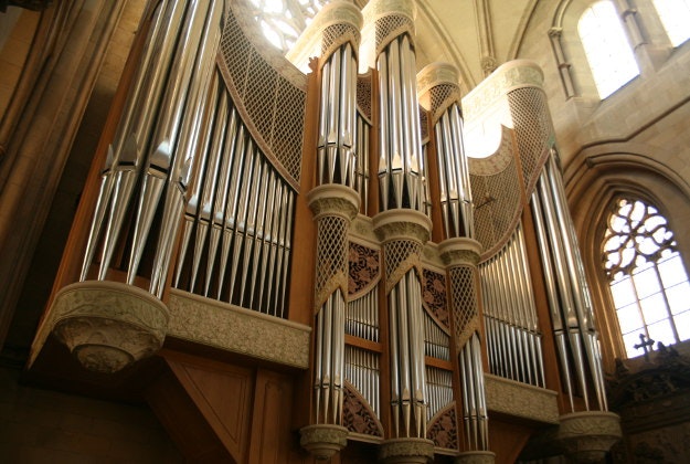 organ