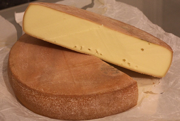 Swiss cheese