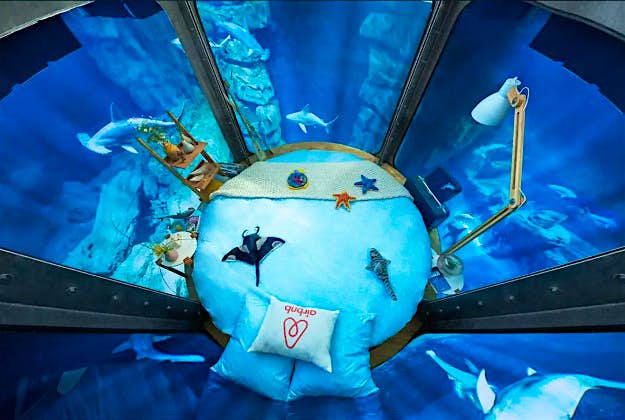 Travel News - airbnb2 Travellers can win a chance to sleep in the Paris aquarium in an underwater room.