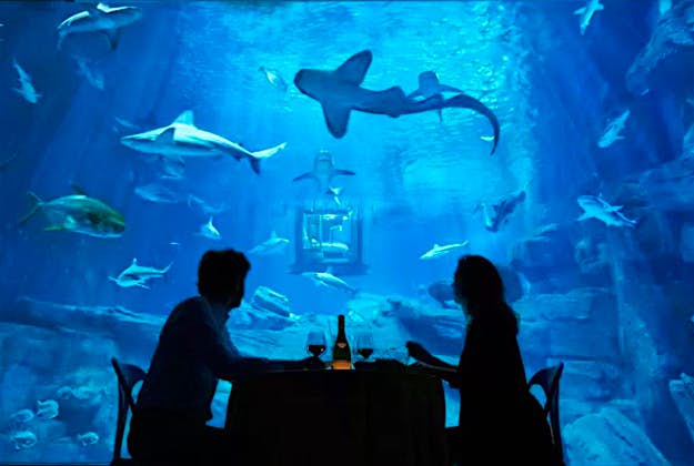 Travel News - airbnb3 Travellers can win a chance to sleep in the Paris aquarium in an underwater room.