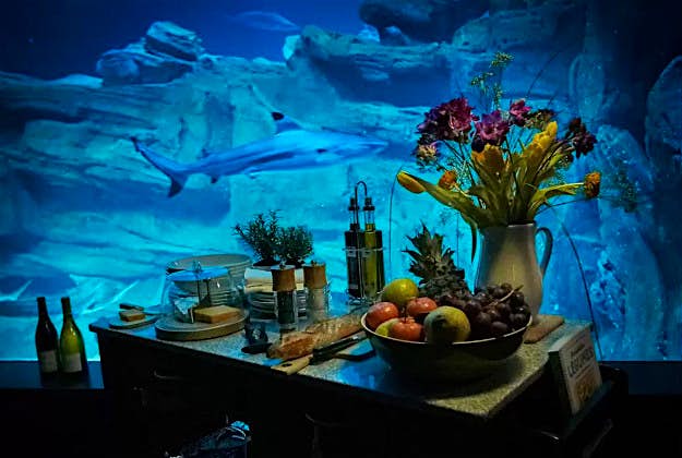Travel News - airbnb4 Travellers can win a chance to sleep in the Paris aquarium in an underwater room.