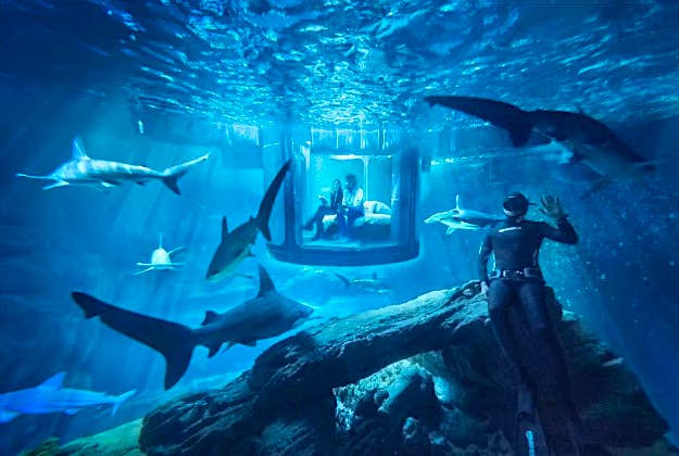 Travel News - airbnb5 Travellers can win a chance to sleep in the Paris aquarium in an underwater room.
