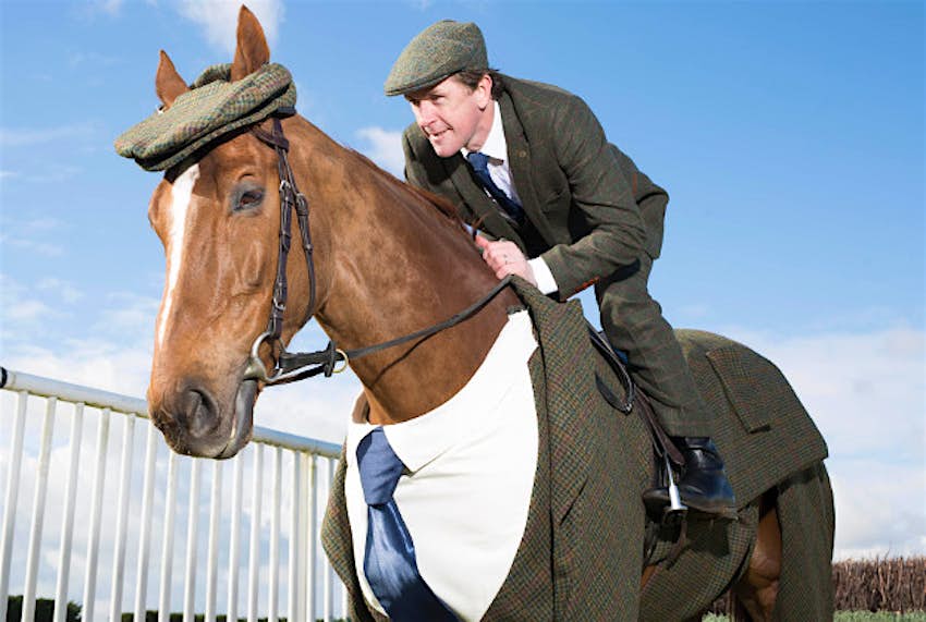 Travel News - cheltenham tweeds 1 Former jockey A.P. McCoy unveils the worldÕs first authentic Harris Tweed suit designed for a racehorse, which has been specially commissioned by William Hill to celebrate the opening of this year's Cheltenham Festival.