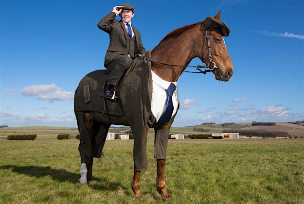 Travel News - cheltenham tweeds 3 The tweed suit was designed by former Alexander McQueen apprentice Emma Sandham-King and modelled by veteran racehorse Morestead.