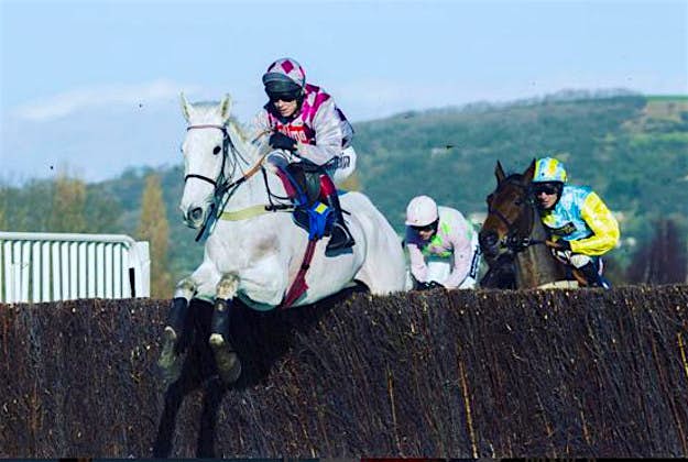Travel News - event 1 SMAD PLACE ridden by Richard Johnson at last year's Cheltenham Races