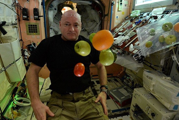 stationcdrkellyChristmas in July! Great gift for my 100th day in space! Only ~250 more to go (not that I’m counting) #YearInSpace #iss #spacestation #space #fruit #vegetables #ChristmasInJuly