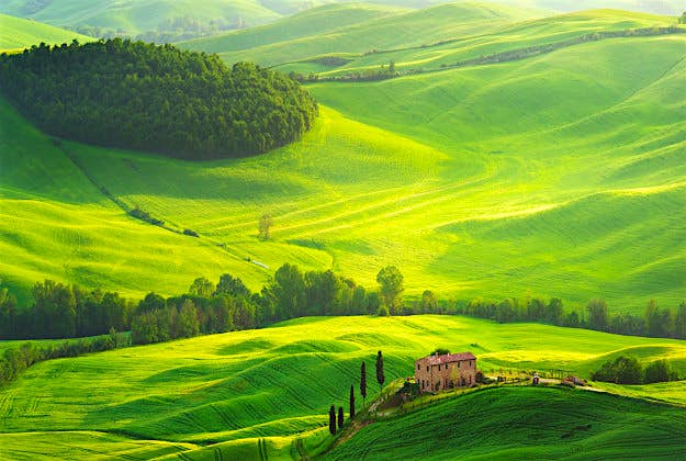 Travel News - shutterstock_145991147 Tuscan hills