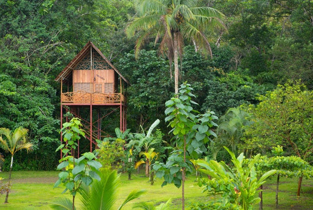 Treehouse in Costa Rica. 
