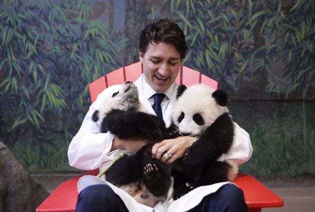 Canadian Prime Minister posted a photo of himself on social media with two baby pandas at a naming ceremony at the Toronto Zoo. The pandas are named Jia Panpan et Jia Yueyue, which mean “Canadian Hope” and “Canadian Joy". 