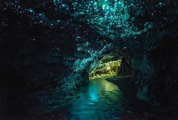 Waitomo glow worm caves in New Zealand. 