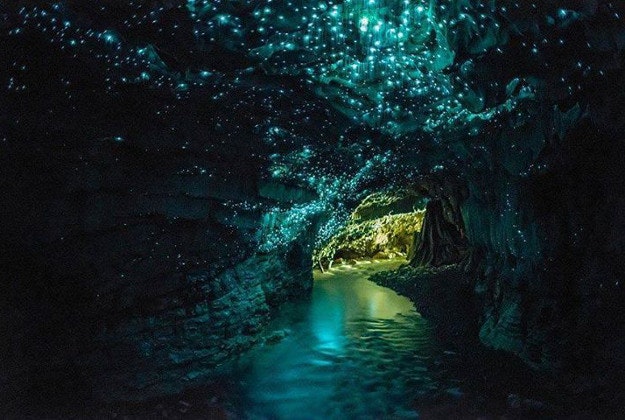 Waitomo glow worm caves in New Zealand.
