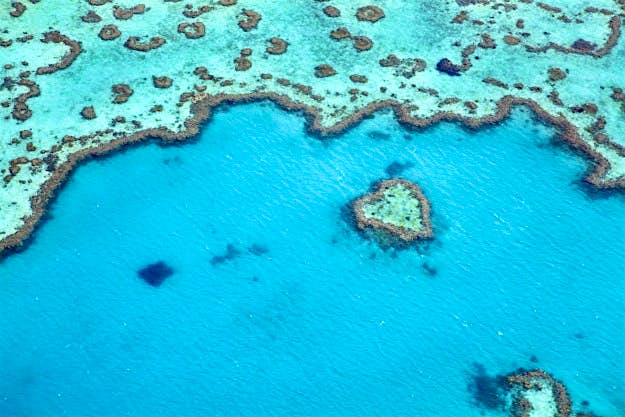 Travel News - Aerial view of Heart Reef on Great Barrier Reef near Whitsunday Islands. Aerial view of Heart Reef on Great Barrier Reef near Whitsunday Islands.