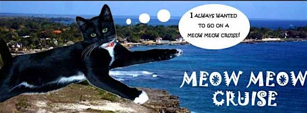 Travel News - cruise 3 Cat themed cruises without cats - that's Meow Meow