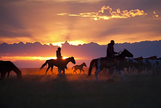 Travel News - 09 In the Pavlodar region of northeast Kazakhstan, horsemen drive their herd to a corral where they'll spend the night. Kazakhs must guard their animals at all times against horse thieves (a time-honored tradition in Kazakshtan) and predators like the steppe wolf. Pastoralists have lived in this region of Kazakhstan for at least 5,000 years. Archeologists have discovered the oldest-known remains of a domesticated horse at a sight located about 100 miles from where I took this picture.