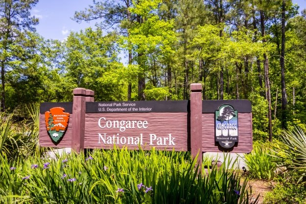 Congaree National Park in South Carolina