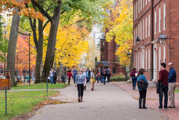 Harvard Yard, Cambridge MA.