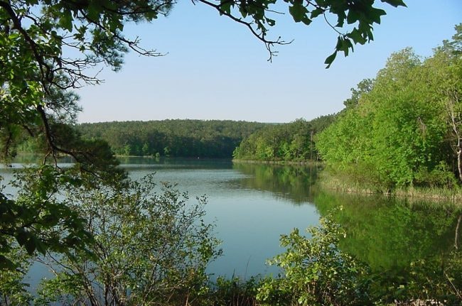 Cedar Lake in Ouachita National Forest. Image: USDA