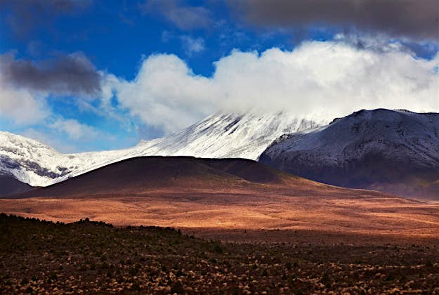 Travel News - View across the plains towards Mount Ngauruhoe. View across the plains towards Mount Ngauruhoe.