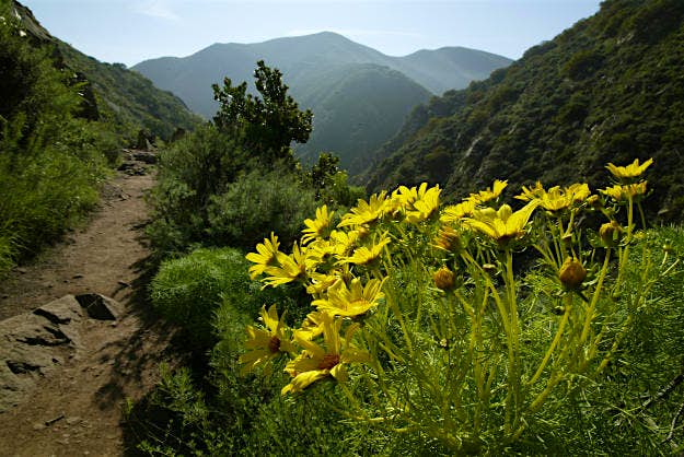 Travel News - BackbonetrailCalif Backbone trail spans from Los Angeles to Ventura.