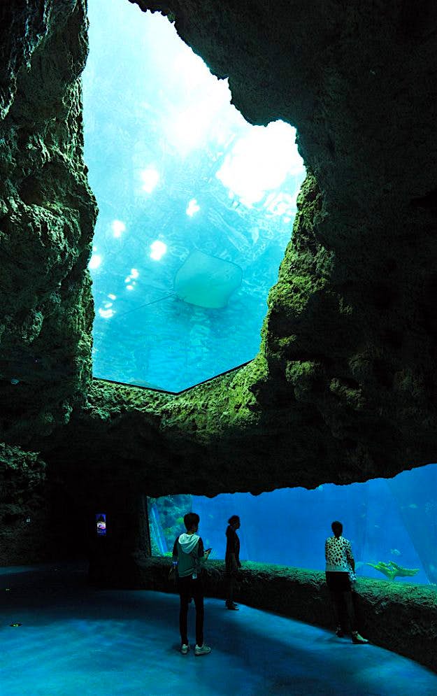 Travel News - CHINA-US-INVESTMENT-PARK People visit an aquarium at the newly open theme park "Wanda City" in Nanchang, east China's Jiangxi province on May 28, 2016. The Chinese conglomerate Wanda on May 28 opened its first theme park, with its billionaire boss declaring war on Disney weeks before the American entertainment giant launches a similar attraction in Shanghai. / AFP / STR / China OUT (Photo credit should read STR/AFP/Getty Images)