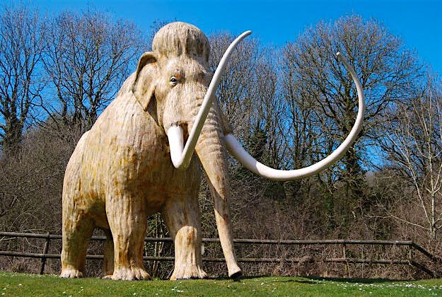 Travel News - mammoth1 Scientists believe the have discovered the fossils of more than 50 mammoths near Mexico city