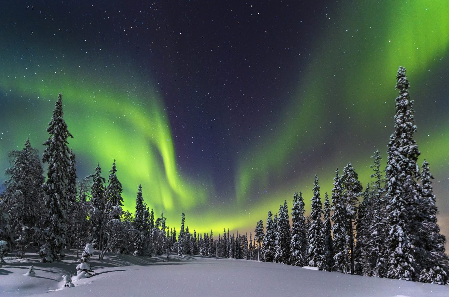 Aurora Borealis over a forest in Finland