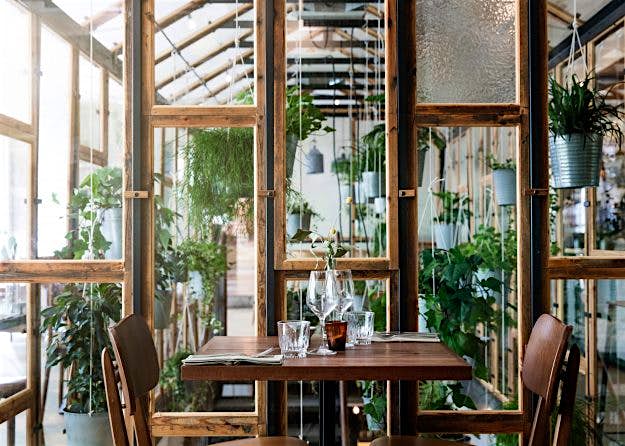 Travel News - Vakst-5 Located at Hotel SP34, Vakst is a welcome addition to Copenhagen's already booming restaurant market.