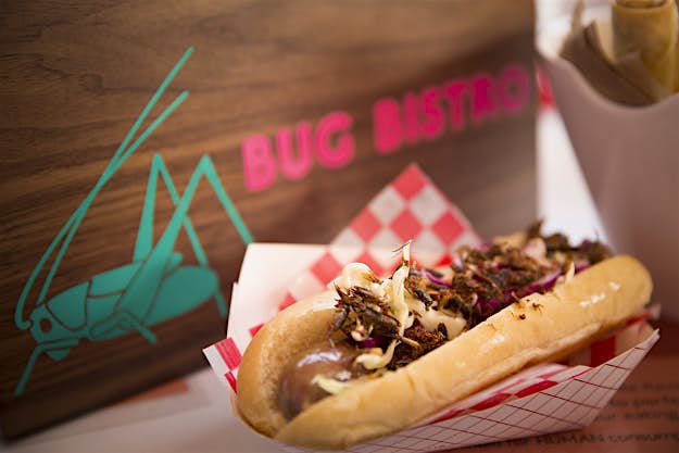 Travel News - _35A3349_ Hot dog topped with bugs.