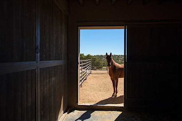 Travel News - TF-Ranch125_2x The Cerro Pelon Ranch.