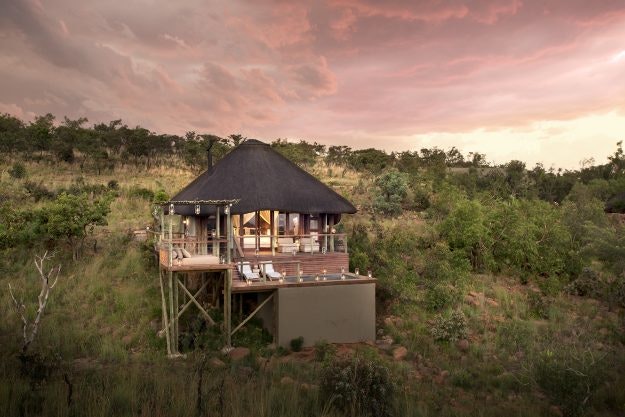The Mhondoro Game Lodge in South Africa offers intimate encounters with wildlife from an underground waterhole hide. Image: Mhondoro Game Lodge