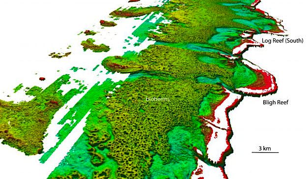 Travel News - newsdetails North-westerly view of the Bligh Reef area off Cape York. Depths are coloured red (shallow) to blue (deep), over a depth range of about 50 metres.