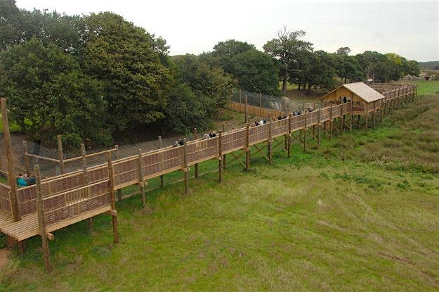 Travel News - aerial-view-land-of-the-tigers The Yorkshire Wildlife Park features expansive areas for the animals.