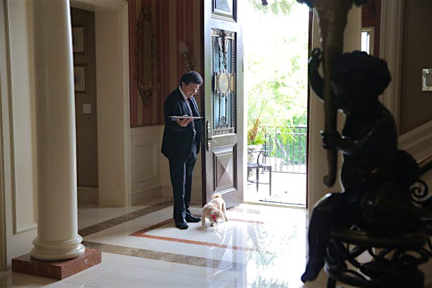 Travel News - CL1_6219-X2 Butler 3 Marnie the dog stays an an incredible Beverly Hills home.
