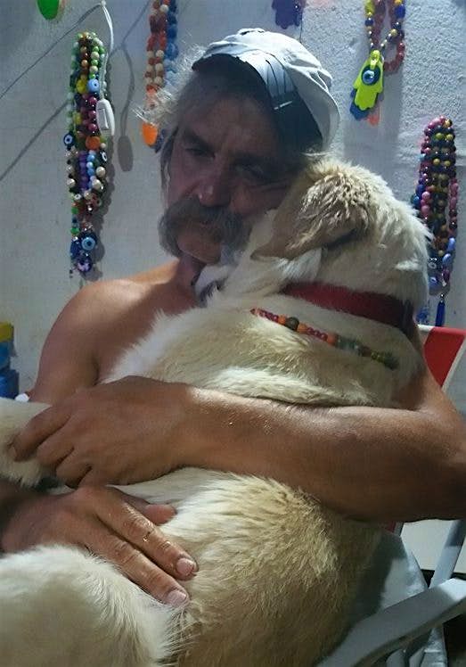 Travel News - facebook-com-13932886_321257608206912_3831065626014456040_n Retired Turkish skipper Senol Özbakan with his golden retrievers in Turkey's Mugla. Image: Golden Cetesi