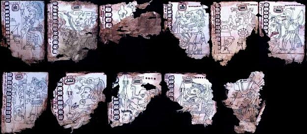 Travel News - grolier-codex The water-damaged pages of the Grolier Codex.