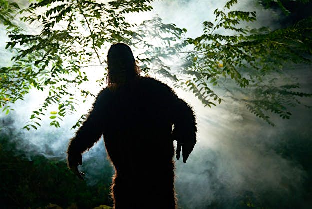 Travel News - bigfootgettyimages-516422221 Cryto-zoologists gather in Montana for Bigfoot conference.