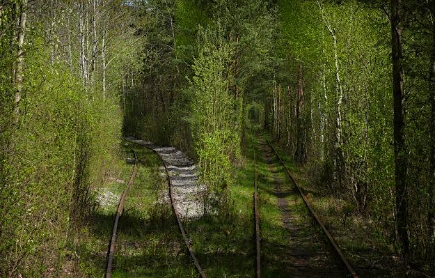 Travel News - cb98c457-964b-4772-845d-efa59fd77cf5 The track splits at one point, with one section leading to a military base.