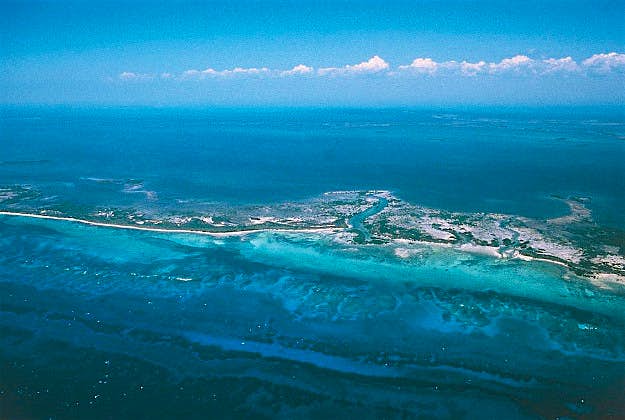 Travel News - garden-of-the-queens-gettyimages-480829309 The exhibition will feature a replica model of the Garden of the Queens coral reef in Cuba.