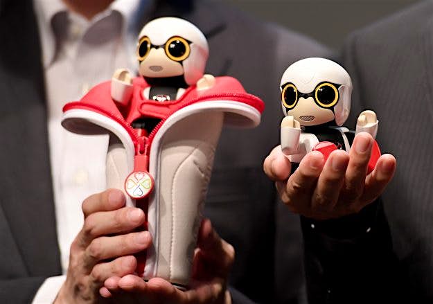 Travel News - JAPAN-ROBOT-SCIENCE-COMPANY-TOYOTA-KIROBO MINI Kirobo Mini is its travel pouch.
