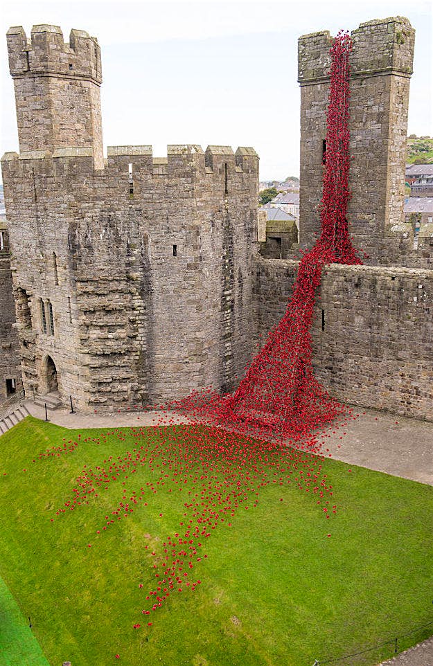 Travel News - GettyImages-613725968 The poppy sculpture Weeping Window opens at Caernarfon Castle.