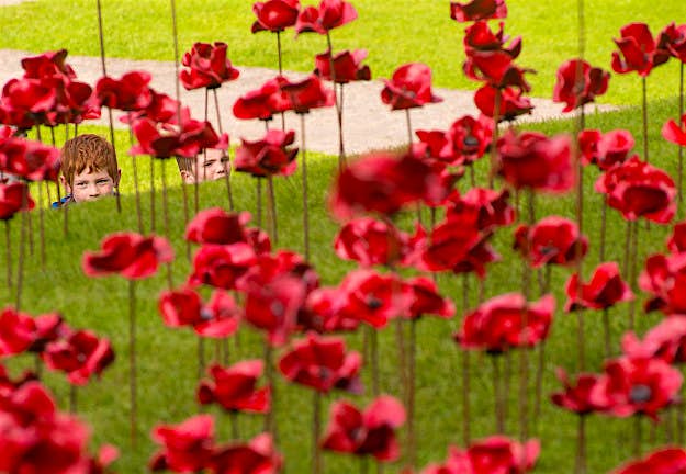Travel News - GettyImages-613725974 The poppy sculpture Weeping Window opens at Caernarfon Castle.