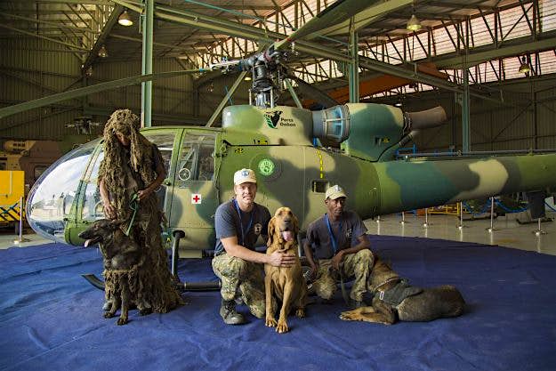 Travel News - southafricadogs Paramount Anti-Poaching and K9 Academy with their highly-trained dogs.