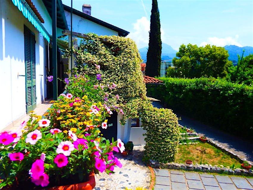 Travel News - z_2054623062015110910296 B&B Notti Magiche.