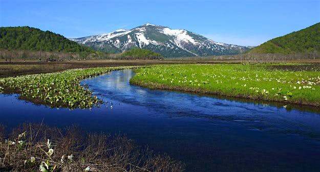 Travel News - Oze National Park Oze national park is Fukushima, Tochigi, Gunma, a national park over four prefectures of Niigata.Treasure house of beautiful nature that the Oze area was full of a damp plain, a marsh, the forest, changes including the ravine.