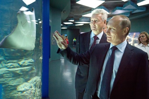 Russia's President Vladimir Putin and Moscow Mayor Sergei Sobyanin visit the Moskvarium Oceanography and Marine Biology Center at Moscow's VDNKh Exhibition Center.