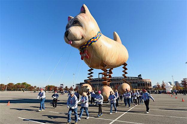 Travel News - GettyImages-621223556 A bouncing terrier flies at Macy's Balloonfest