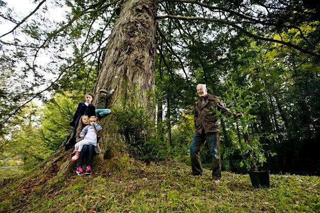 Travel News - largest forest grove of giant redwoods outside California Lord Rosse and his grandchildren Henry, Charlotte, Olivia and William celebrate the announcement of Giants Grove.