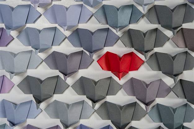 Travel News - julie-larsen-maher_5030_elephant-origami_08-31-16_hr The attempt saw entries from 40 countries around the world and from every state in the US.