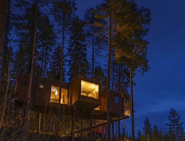 Travel News - treehotel-harads-a7-april-2016-237-hdr The Dragonfly cabin lit up at night.