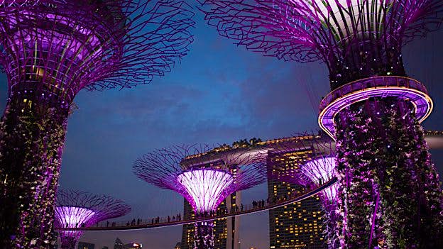 Travel News - bbc.co.uk mediacentre mediapacks planet-earth-ii 624 (9) A hyperlapse video of the building of a vertical forest, as featured in Planet Earth II. Image: BBC